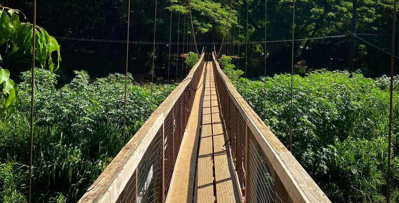 Swinging Bridge