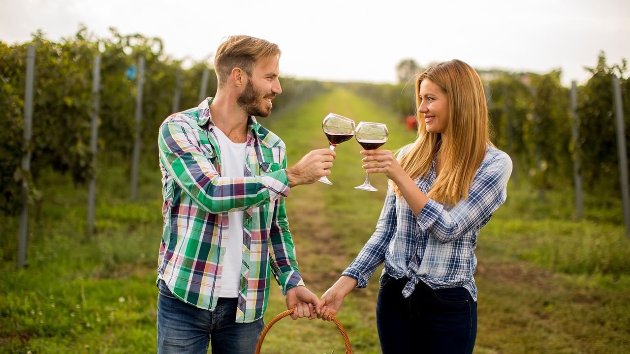 Couple toasting with wine glasses in a vineyard.