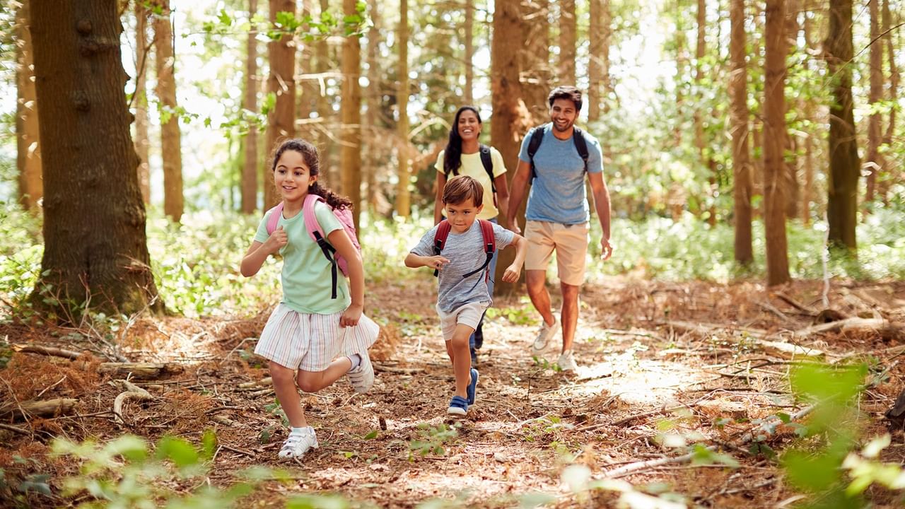 Family of four hiking in the woods.
