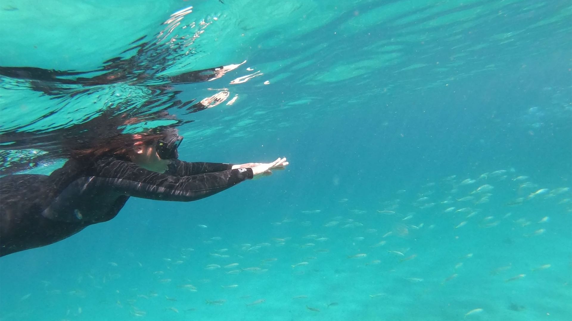Snorkeler near Elysium Manly gliding through turquoise water surrounded by a school of small fish, a featured hotel in Manly