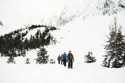Group of four hikers trekking through a snowy landscape, surrounded by tall evergreen trees near Blackstone Mountain Lodge