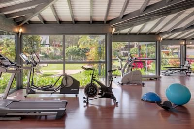 A gym with treadmills, stationary bikes, and weight machines with large windows overlooking a garden.