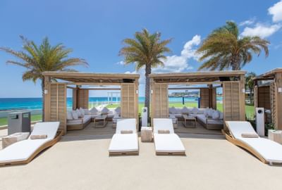 Sunbeds with a sea view at The Morgan Resort Spa Village