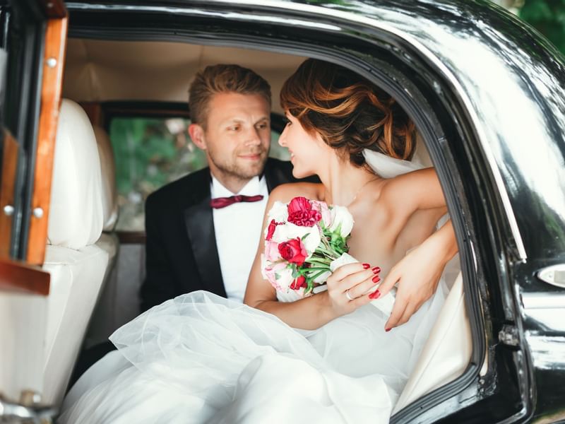 Stock Image Bride and Groom