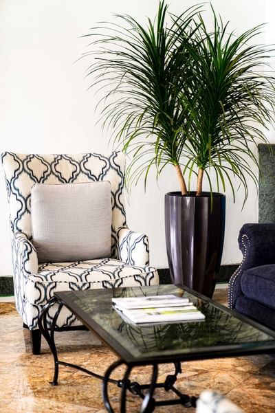 Lounge area with a chair & a potted plant at Hanoi Daewoo Hotel