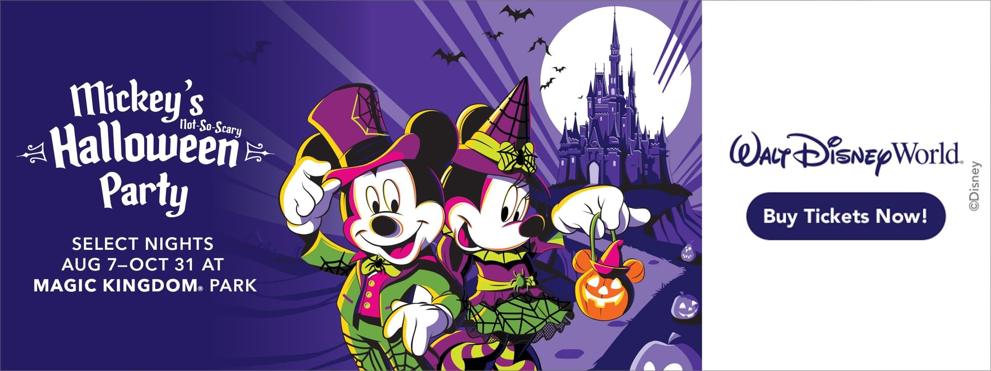 A banner of Disney World, display at Lake Buena Vista Resort