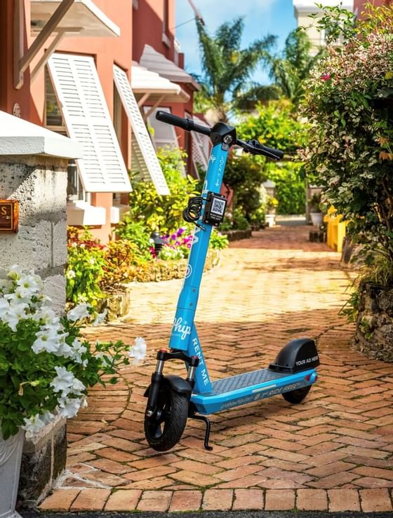 Scooter parked in the garden area of Royal Palms Hotel