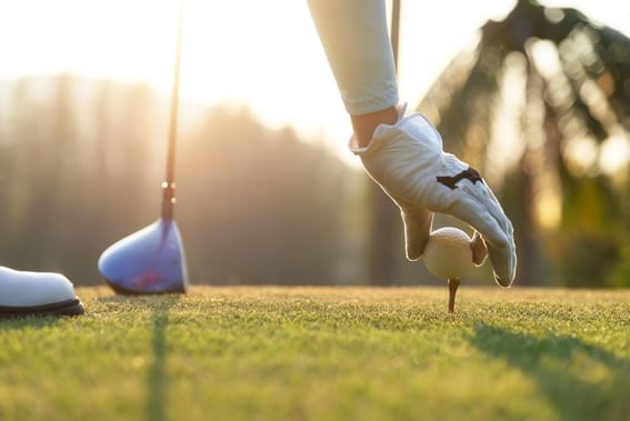 Setting a golf ball in the golf course at Sunseeker Resort