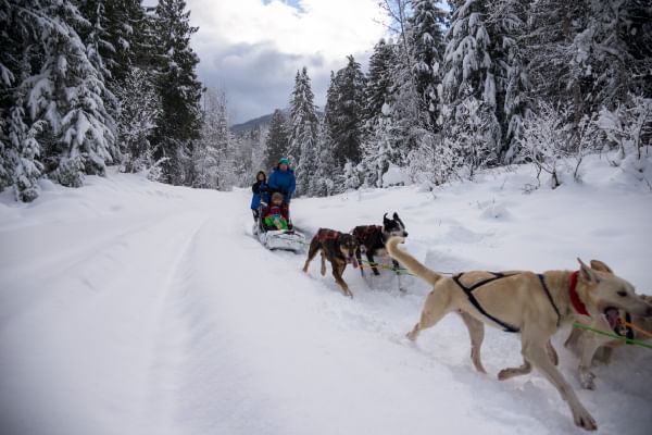 Revelstoke en hiver – 8 activités coup de cœur