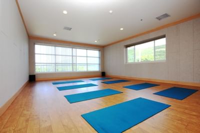 Blue yoga mats in the wellness center at Honor’s Haven Retreat