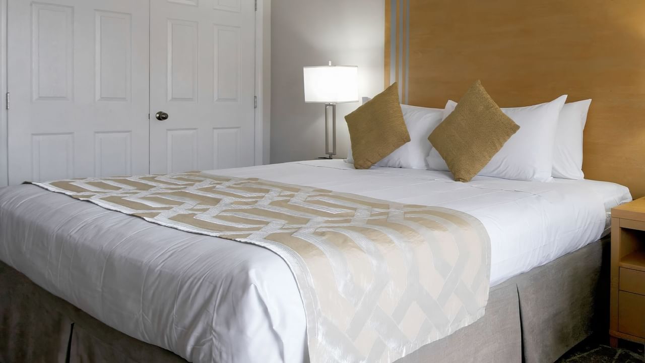 Bed with designer cushions, lamp, bedspread and beige headboard.