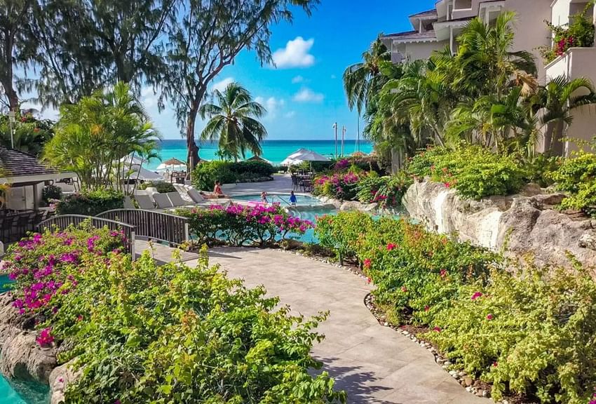 Outdoor pool surrounded by lush tropical plants at Bougainvillea Barbados
