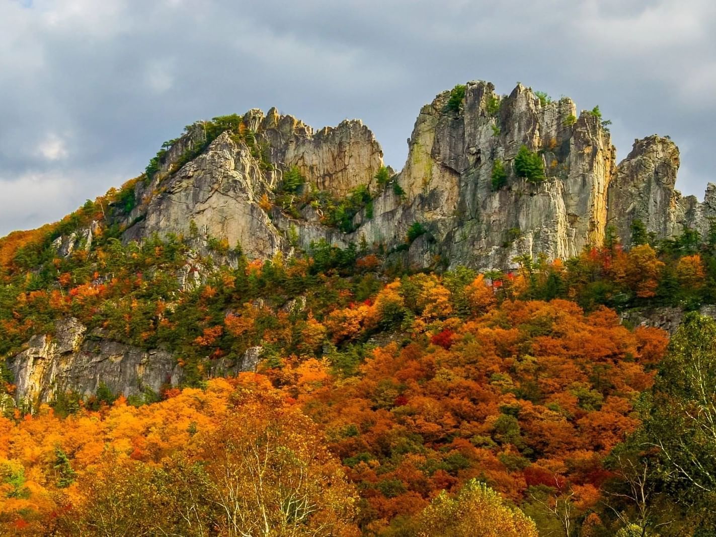 Seneca Rocks with skyline and autumn trees near South Branch Inn Romney