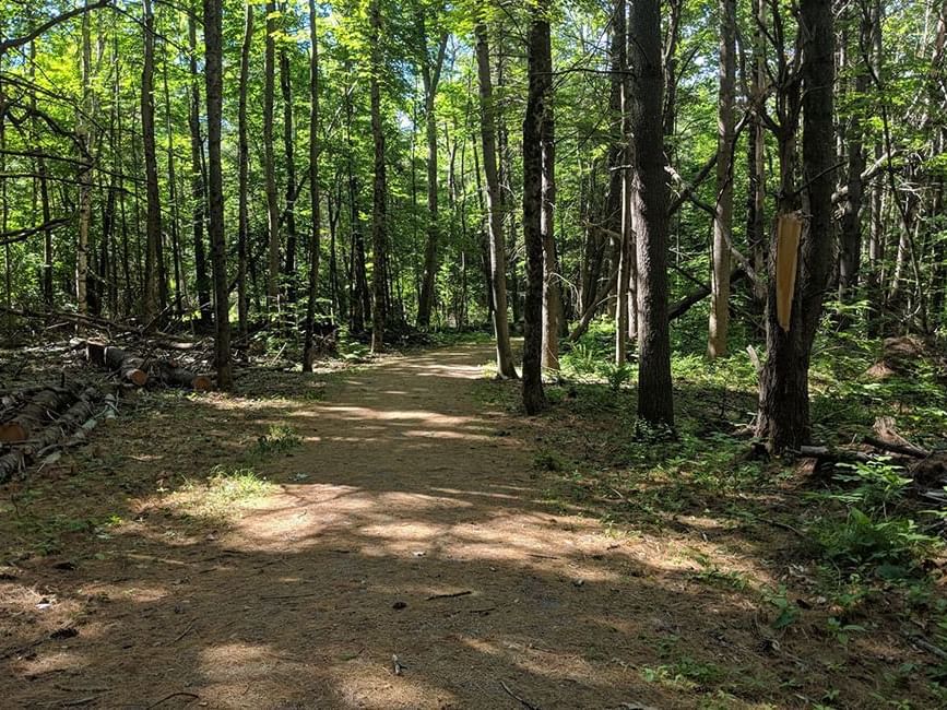 Walkway of the Sewall Woods hiking area at Wolfeboro Inn