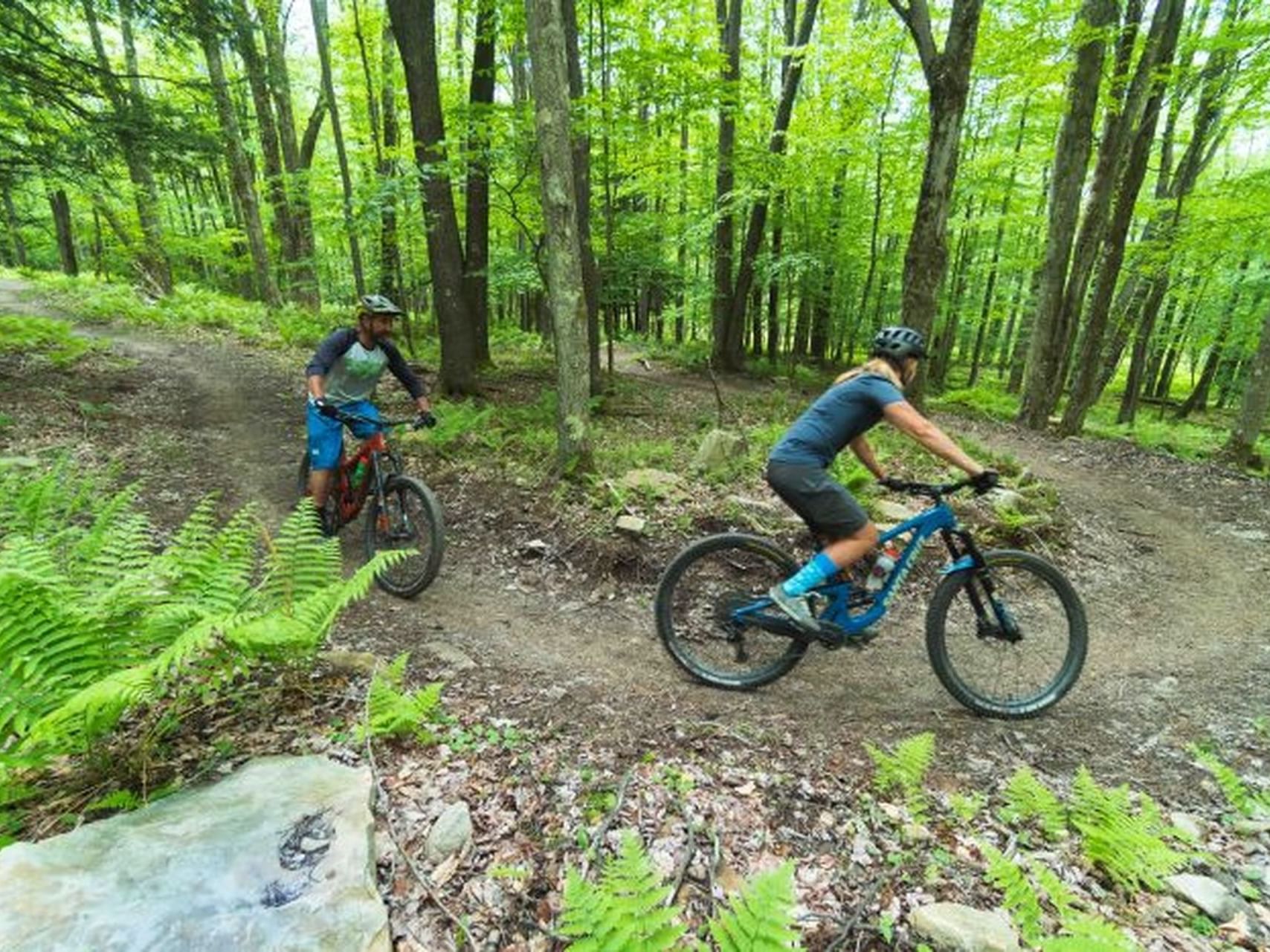 Mountain bikers exploring the woods near The Inn at Canaan