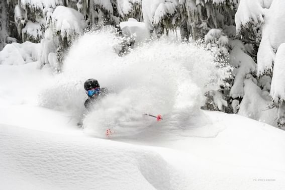 Skiier