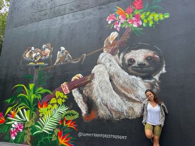 Un mural de perezosos, inspirado para conmemorar nuestro Santuario de Perezosos en Summit Rainforest