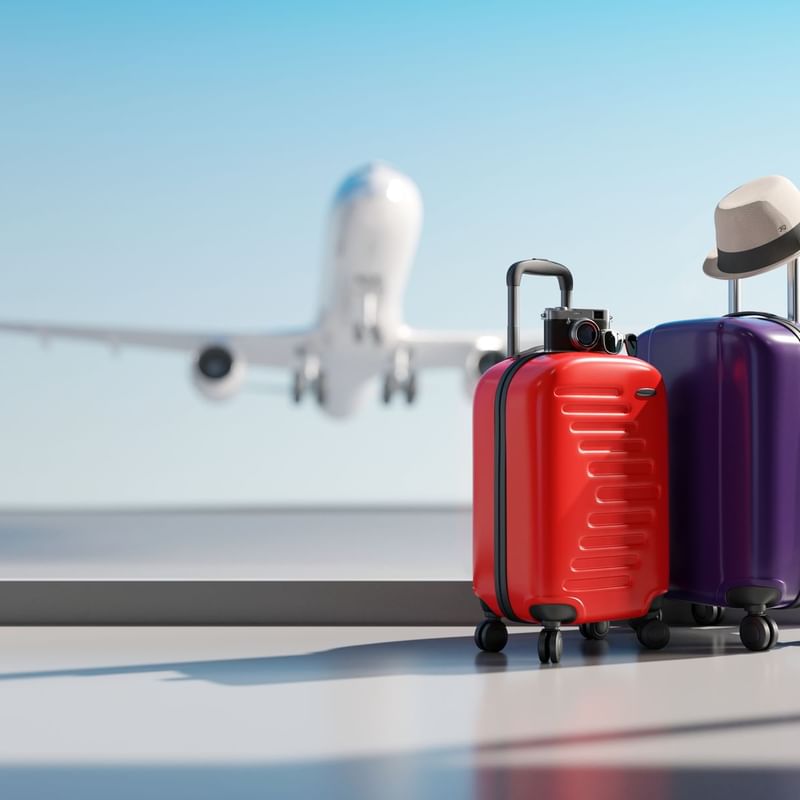 A poster featuring two suitcases near an airport window with a plane taking off used by Warwick Seattle