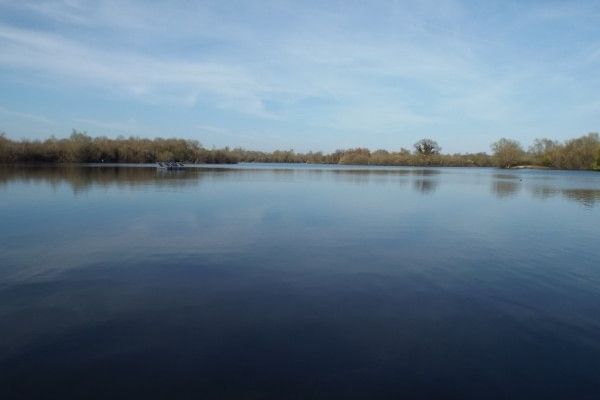 A scenic view of the lake at Dinton Pastures surrounded by trees and greenery.
