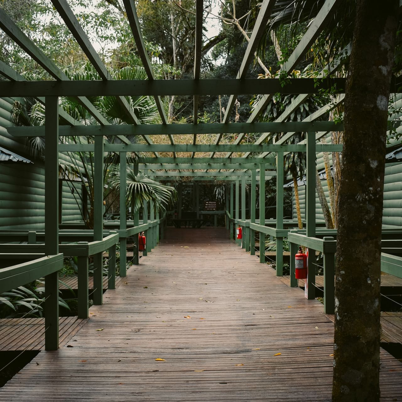 Corridor & an open space at La Cantera Lodge de Selva