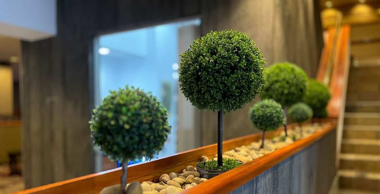 Decorations in hotel lobby