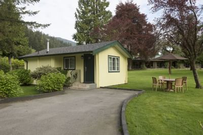 Driveway to cabin.