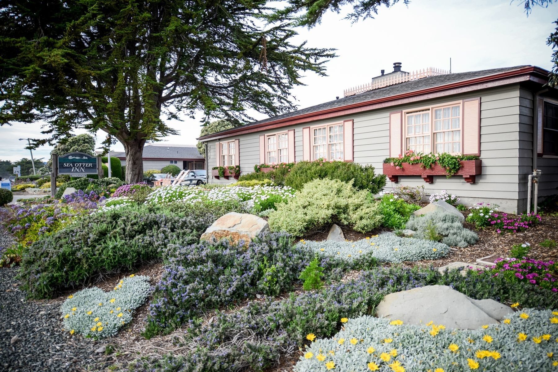 Moonstone Beach Hotels - Sea Otter Inn - Cambria CA