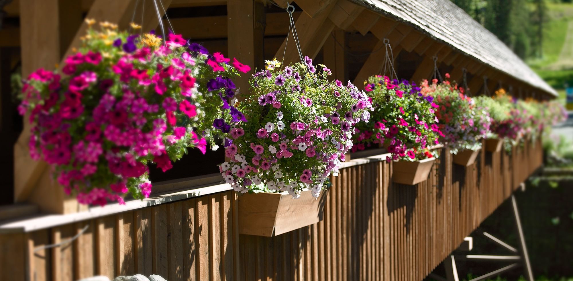 Pedestrian bridge with hanging flower baskets and flowers in planters