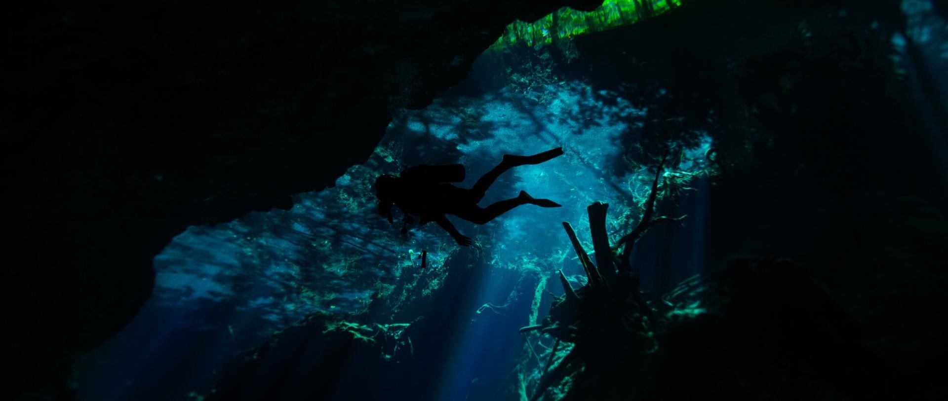 Guests enjoying the Cenote Scuba Diving Adventure near La Zebra Hotel