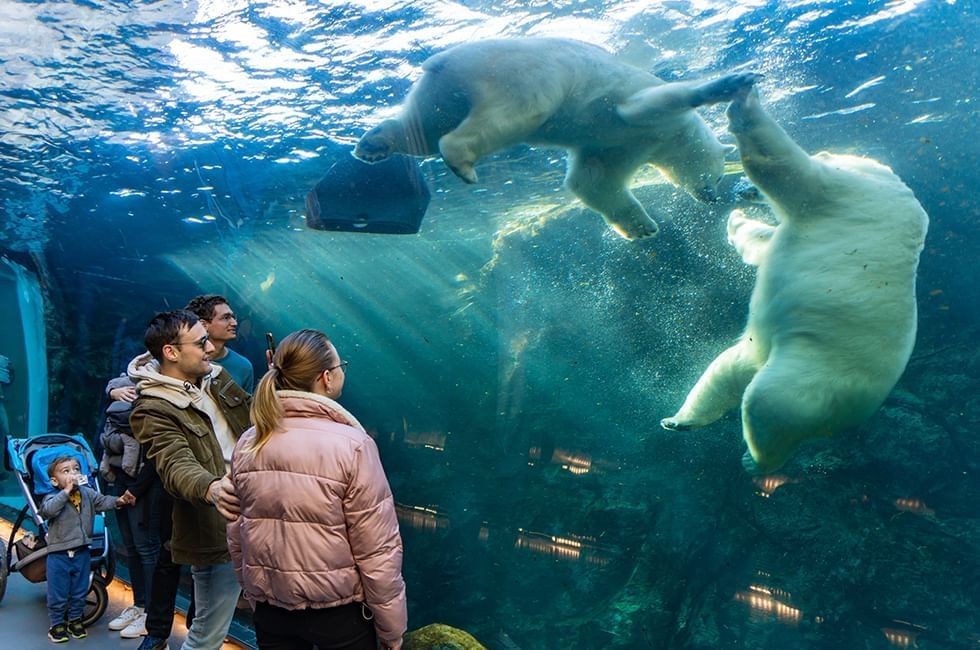 Assiniboine Park Zoo Winnipeg 2020 All You Need To