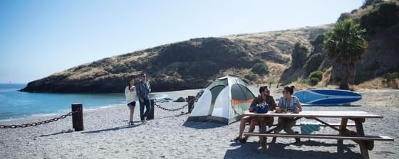 Couples on a camping experience by the sea near Catalina Island Company