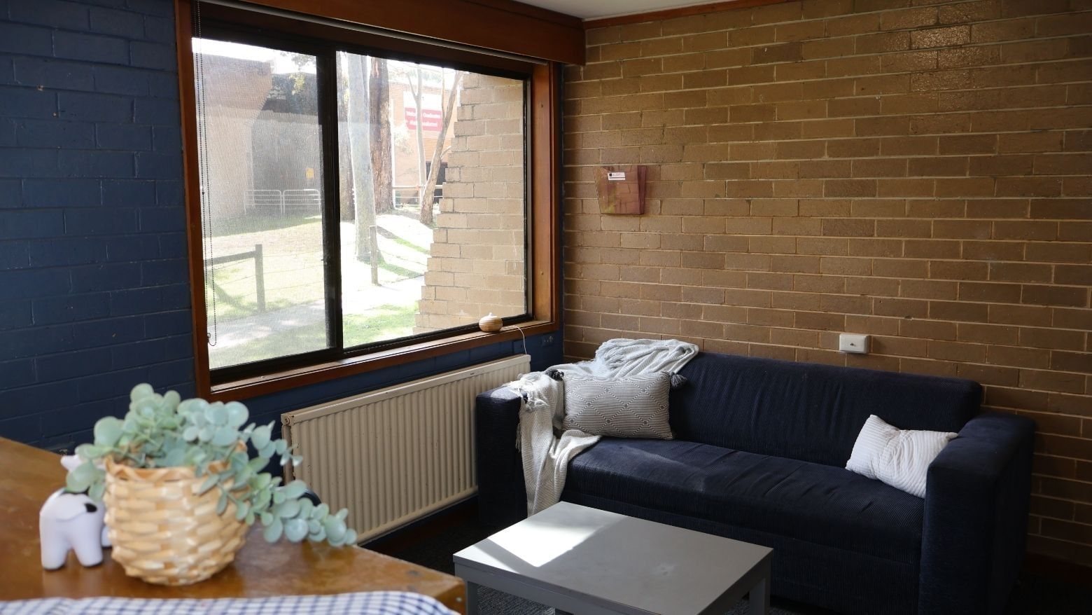Cozy living area with blue couch and plant in basket at La Trobe University - Chisholm College.