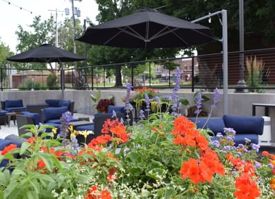 flowers on patio