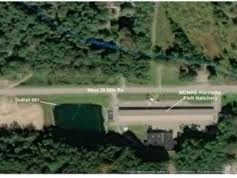 Overview of fish hatchery location near Evergreen Resort