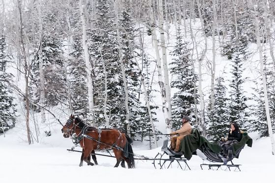 Horse Rides at Deer Valley Resort near Stein Eriksen Residences