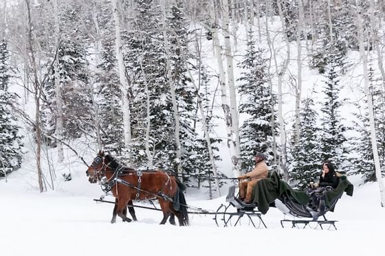 Winter Horse Drawn Sleigh Ride