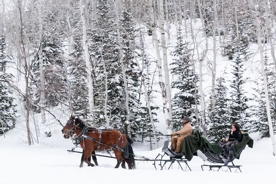 Horse Rides on snow at Deer Valley Resort near Stein Eriksen Residences