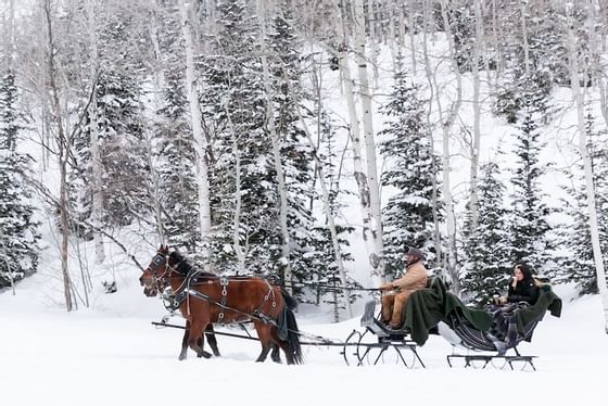 Horse Drawn Sleigh Ride at Stein Eriksen Lodge