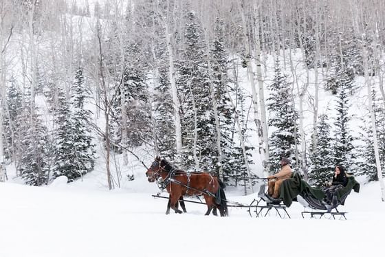Horse Rides on snow at Deer Valley Resort near Stein Eriksen Residences