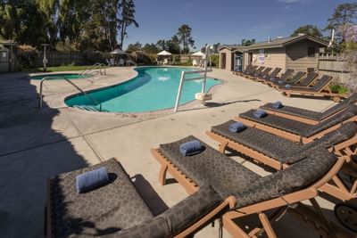 Swimming pool with lounge chairs