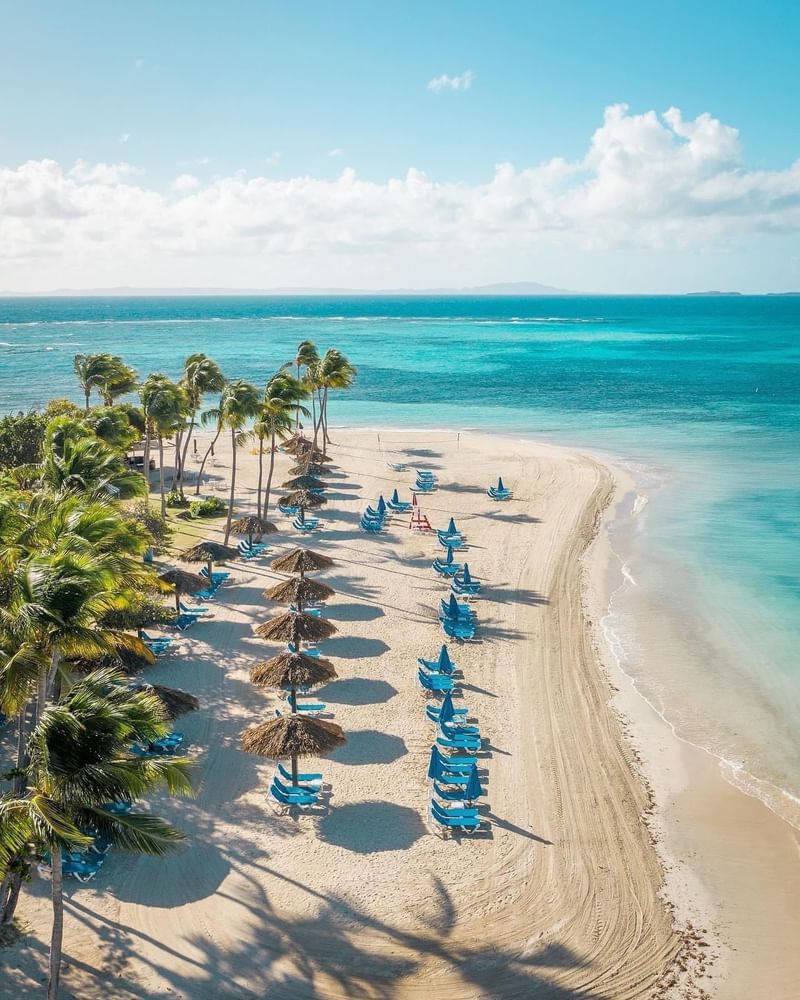 Aerial view of a tropical beach with swaying palms, turquoise water, and rows of blue loungers near El Conquistador Resort