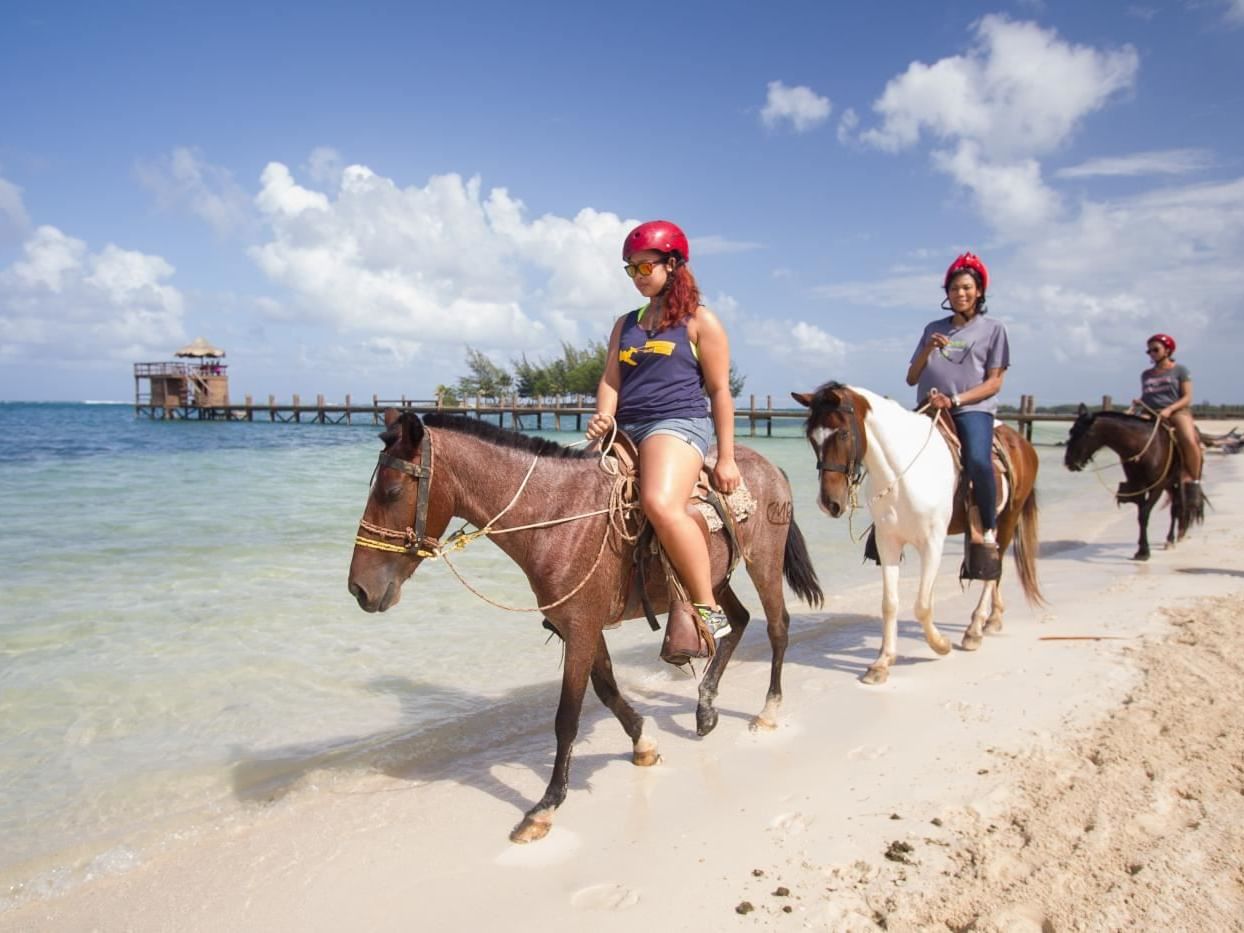 group of people riding horses near beach line