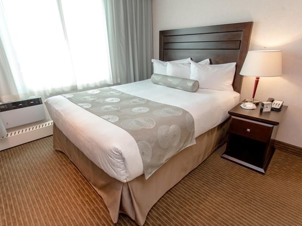 Premium Suite Queen Full Kitchenette