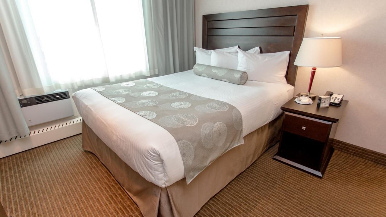 Premium Suite Queen Full Kitchenette