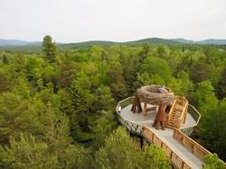 The Wild Walks Birds Nest at the Wild Center near Peak Resort