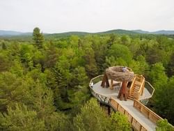 The Wild Walks Birds Nest at the Wild Center near High Peak Resort