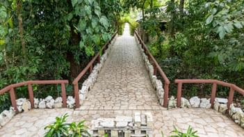 Long stone walkway with wooden railings under a canopy of dense tropical vines and trees at Hotel Chan-kah Resort Village