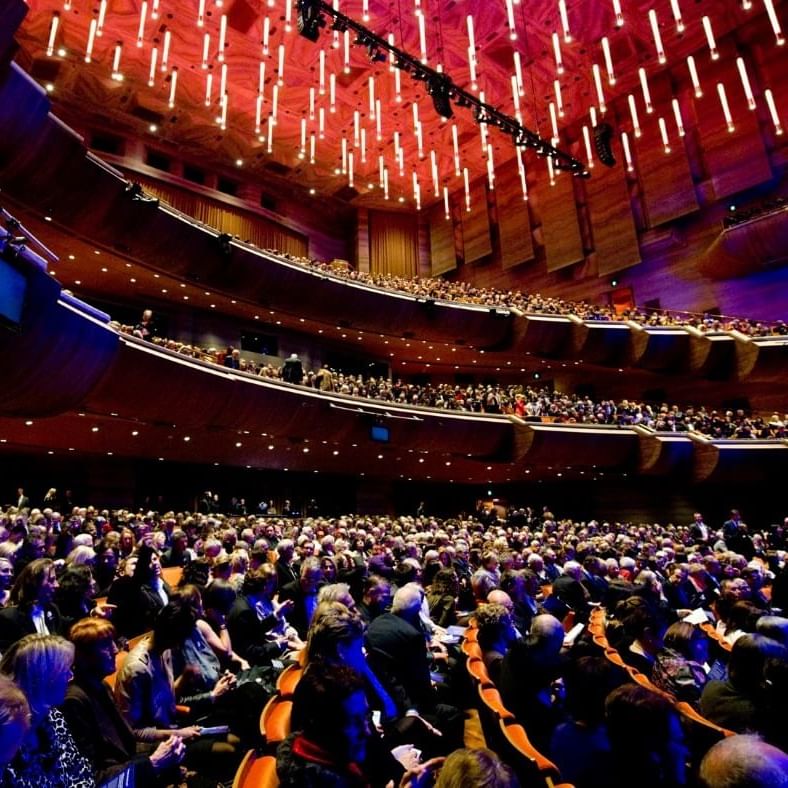 Guests seated watching a performance