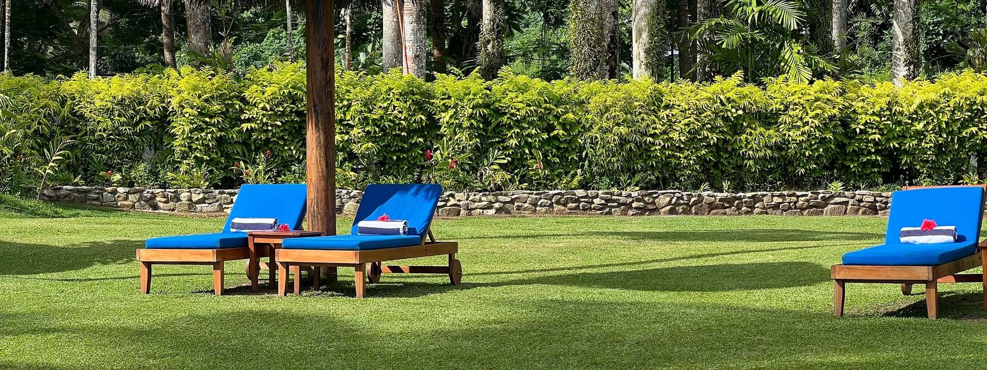 Pool area with lounge chairs under thatched umbrellas at Tambua Sands Beach Resort in Sigatoka