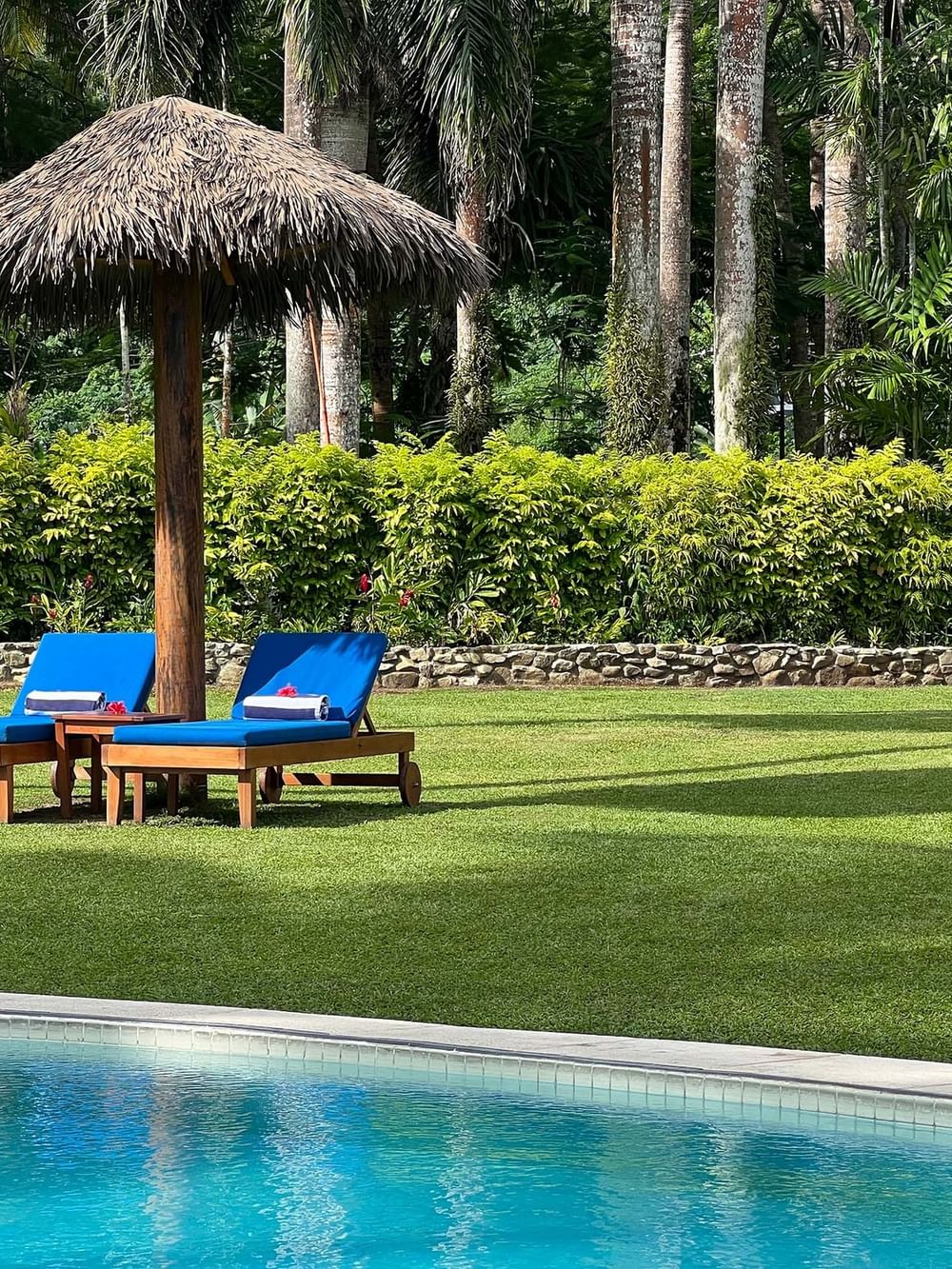 Blue lounge chairs beside a pool surrounded by lush tropical gardens and thatched umbrellas